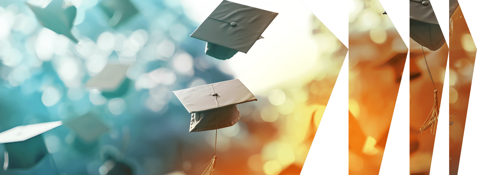 Education use case hero