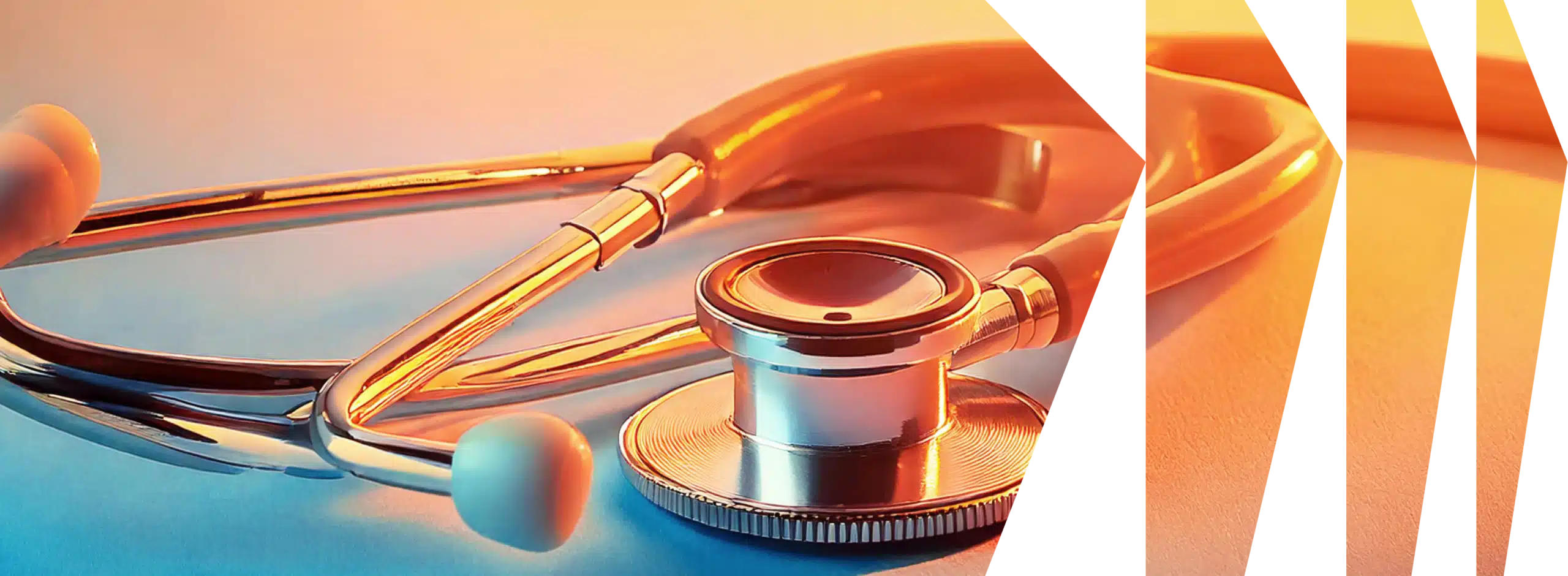 Healthcare page hero
