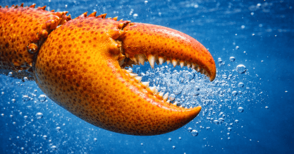 Clawdbot_blog_1200x628_2 Clawdbot_blog_1200x628_2